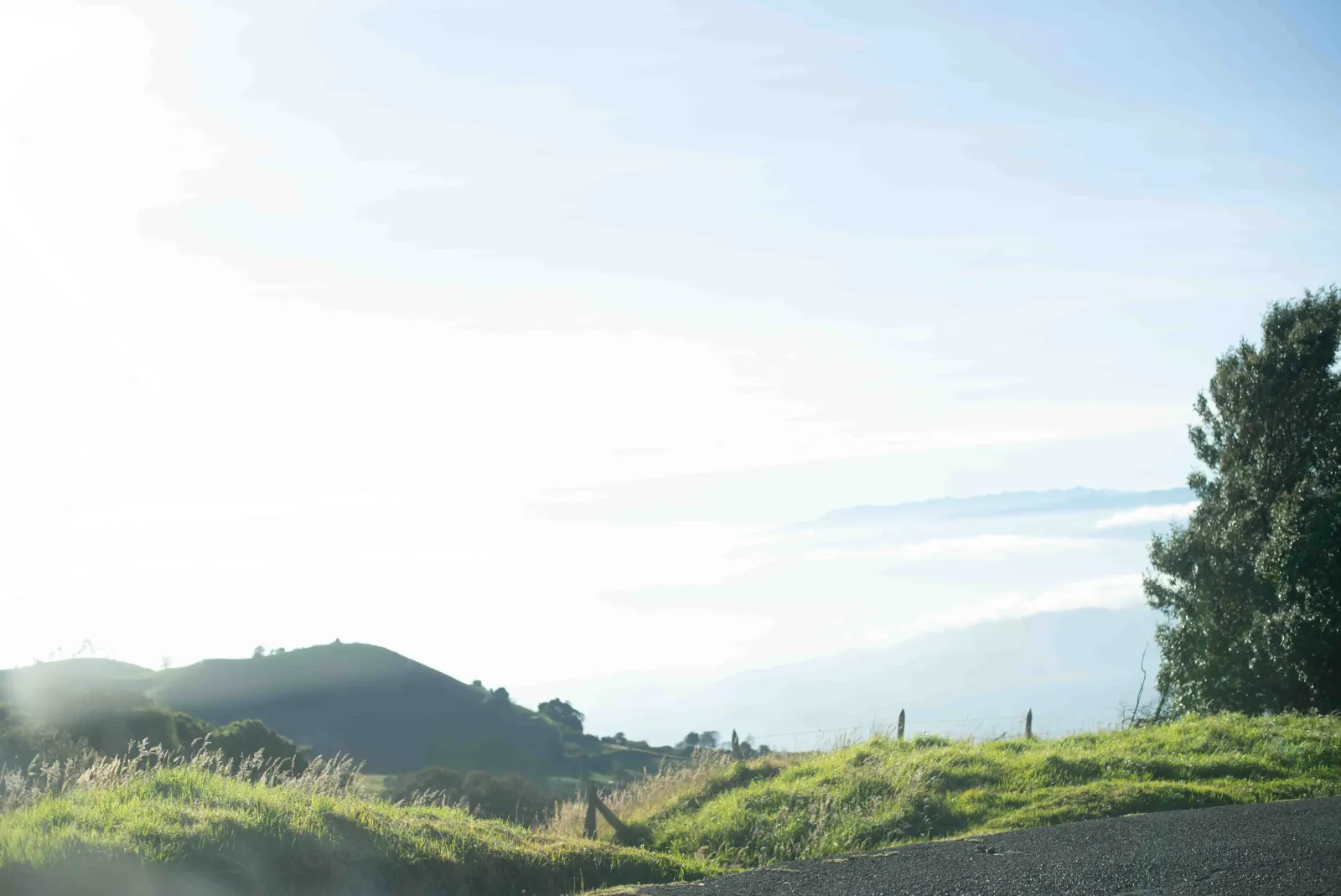 A clear day over the Monteverde cloud forest, green hills rolling toward distant ridges